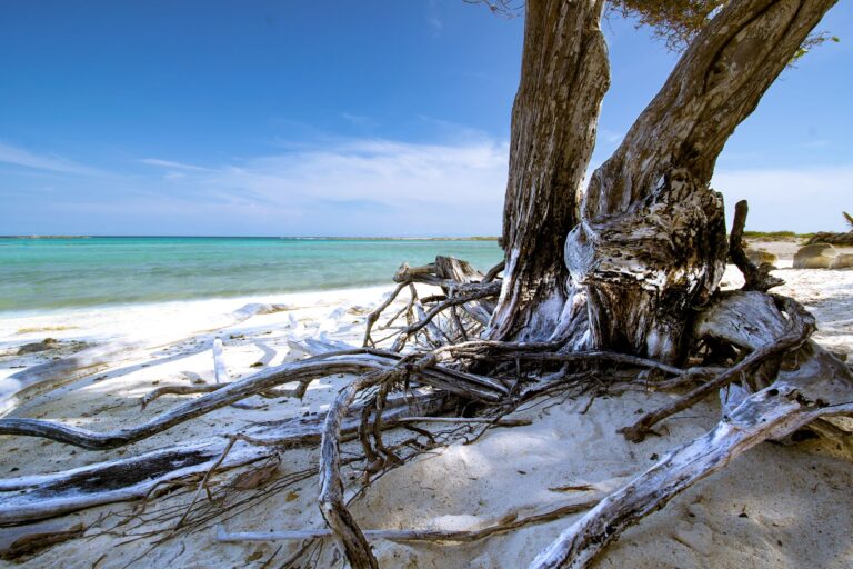 Playa de Aruba