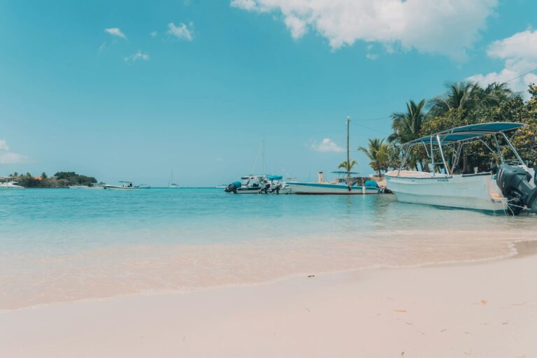 Botes y palmeras en Bayahíbe
