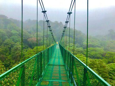 Puente colgante en Monteverde