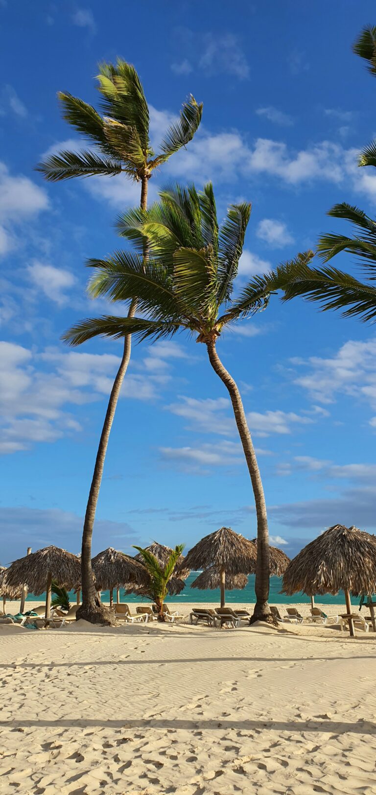 Sombrillas en la playa de Punta Cana